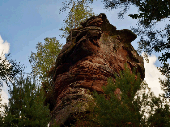 Wanderung Rimbachsteig 2016